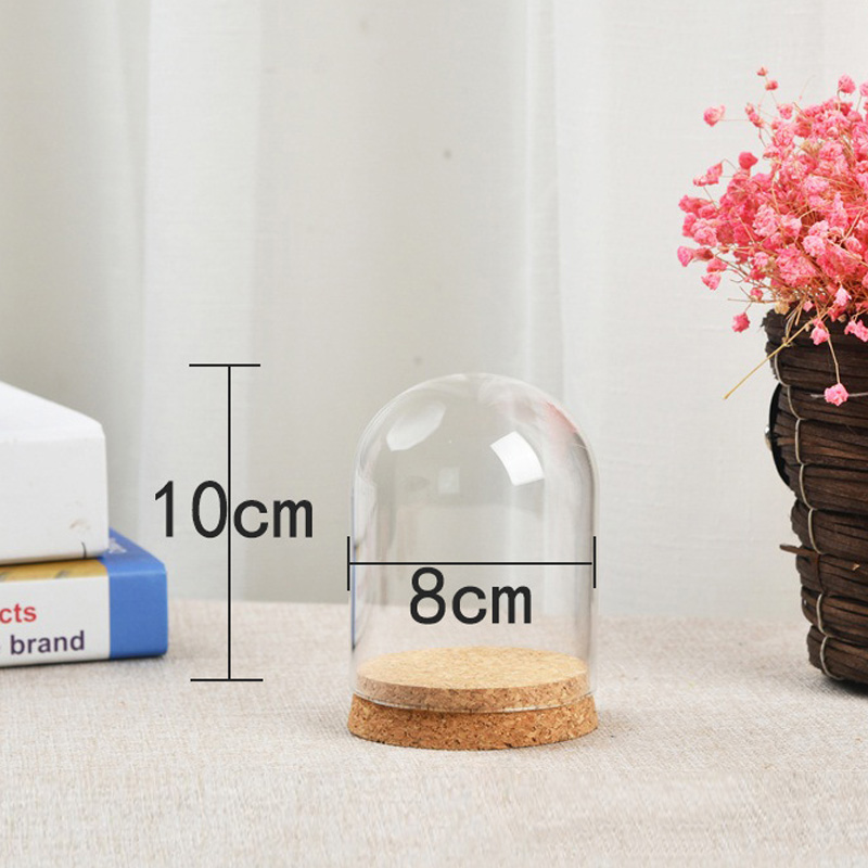 Florist Supply Vases - 多肉植物用の透明なガラスドームカバー,透明な容器,家の装飾用品,DIY