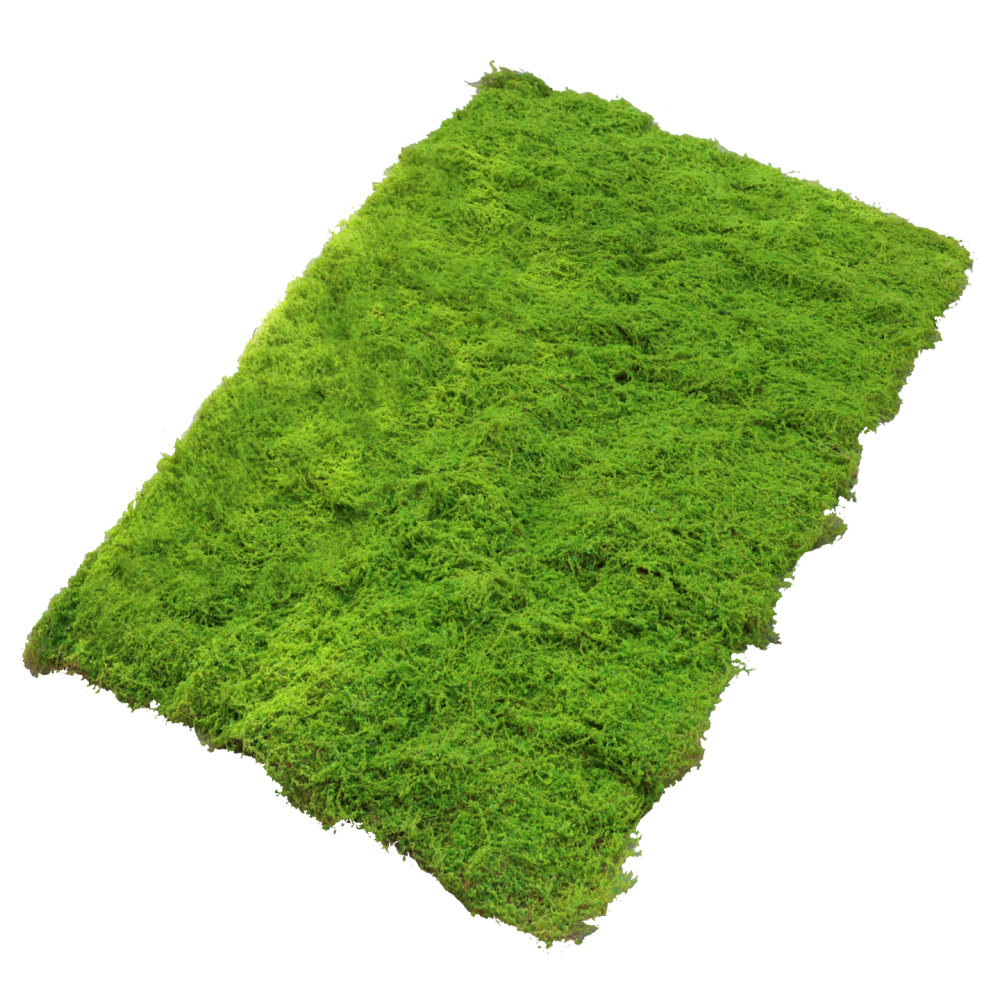 人工芝マット、造花グリーンシート。ミニチュアガーデン、屋内庭 - Preserved Moss Sheet のレビューと価格