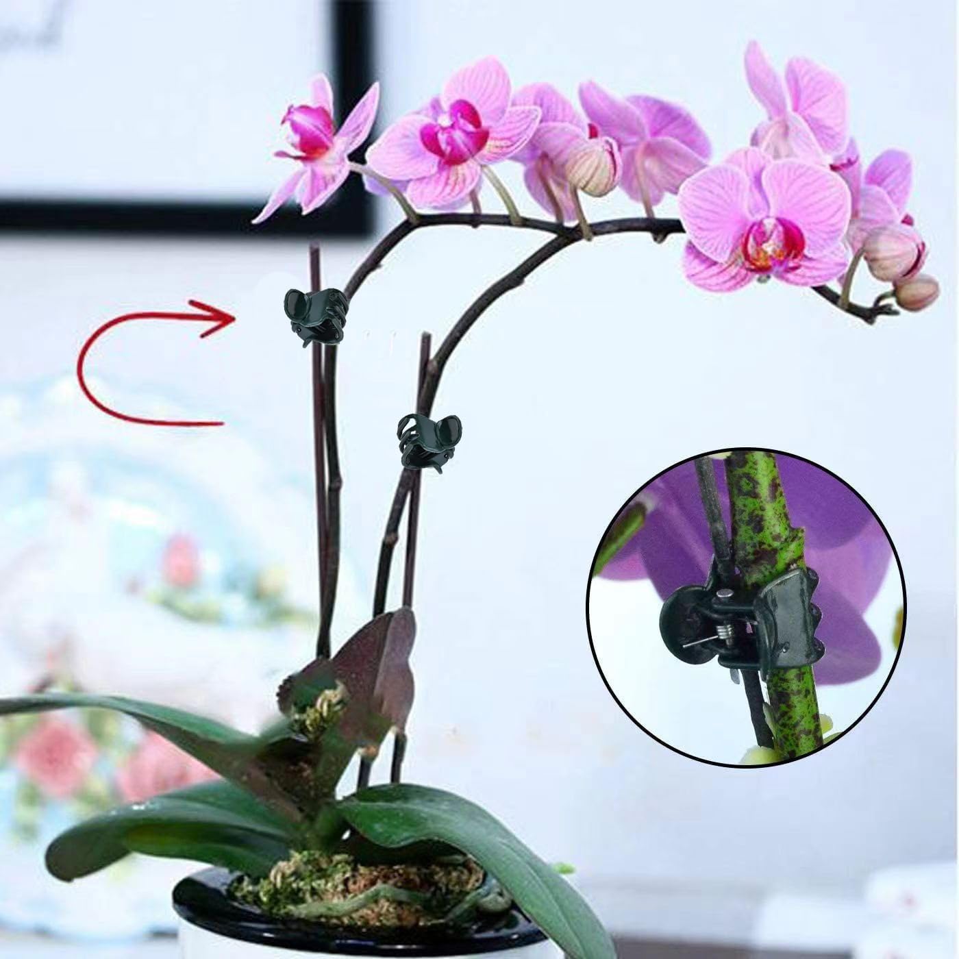 ミニ植物用クリップ 100個入り。園芸用で、ランやデイジーな - Florist Supply Bulk のレビューと価格